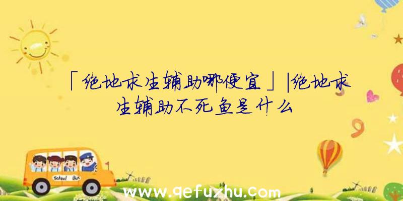 「绝地求生辅助哪便宜」|绝地求生辅助不死鱼是什么